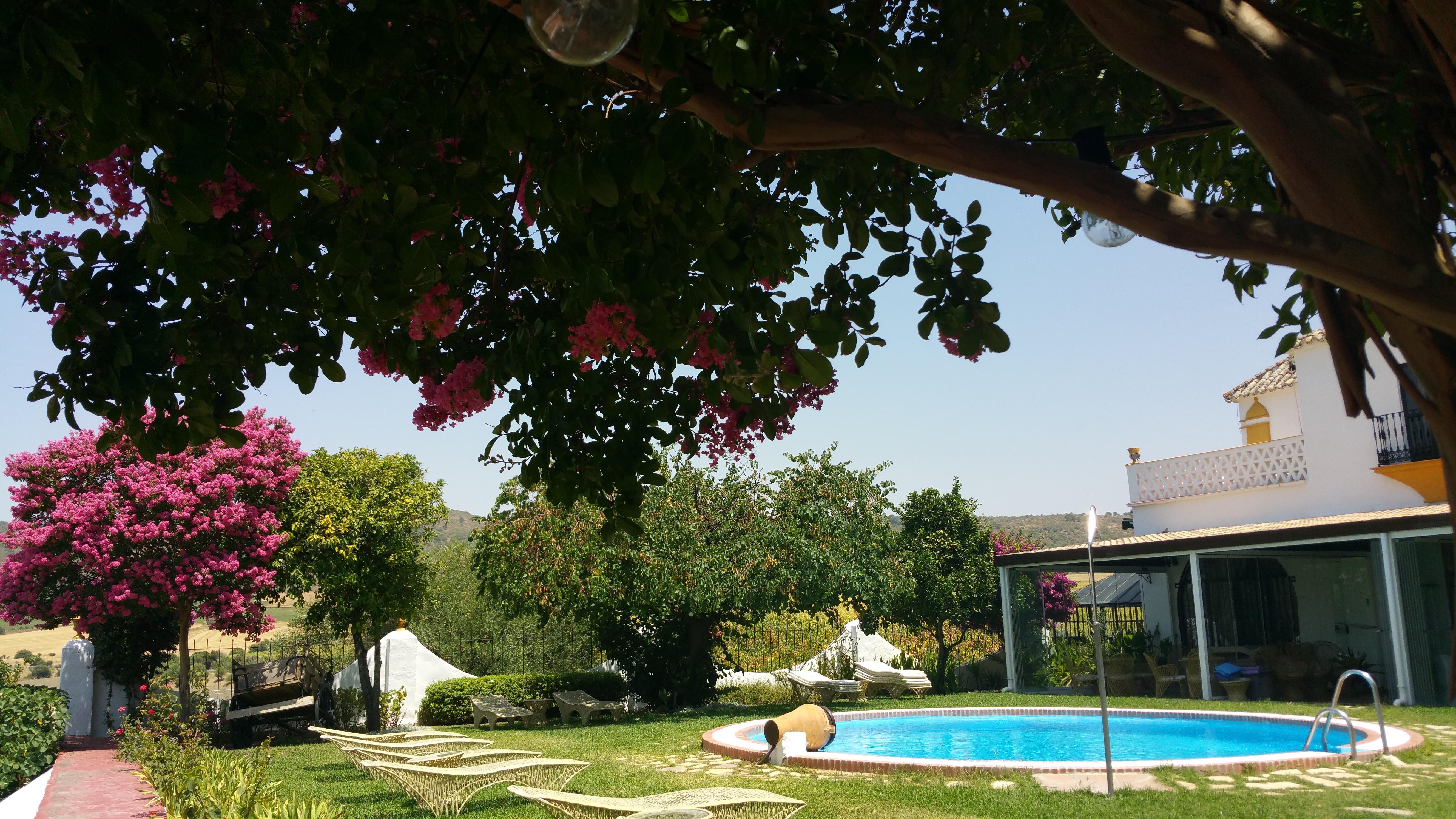Hotel Hacienda El Santiscal Adults Only à Arcos de la Frontera Extérieur photo
